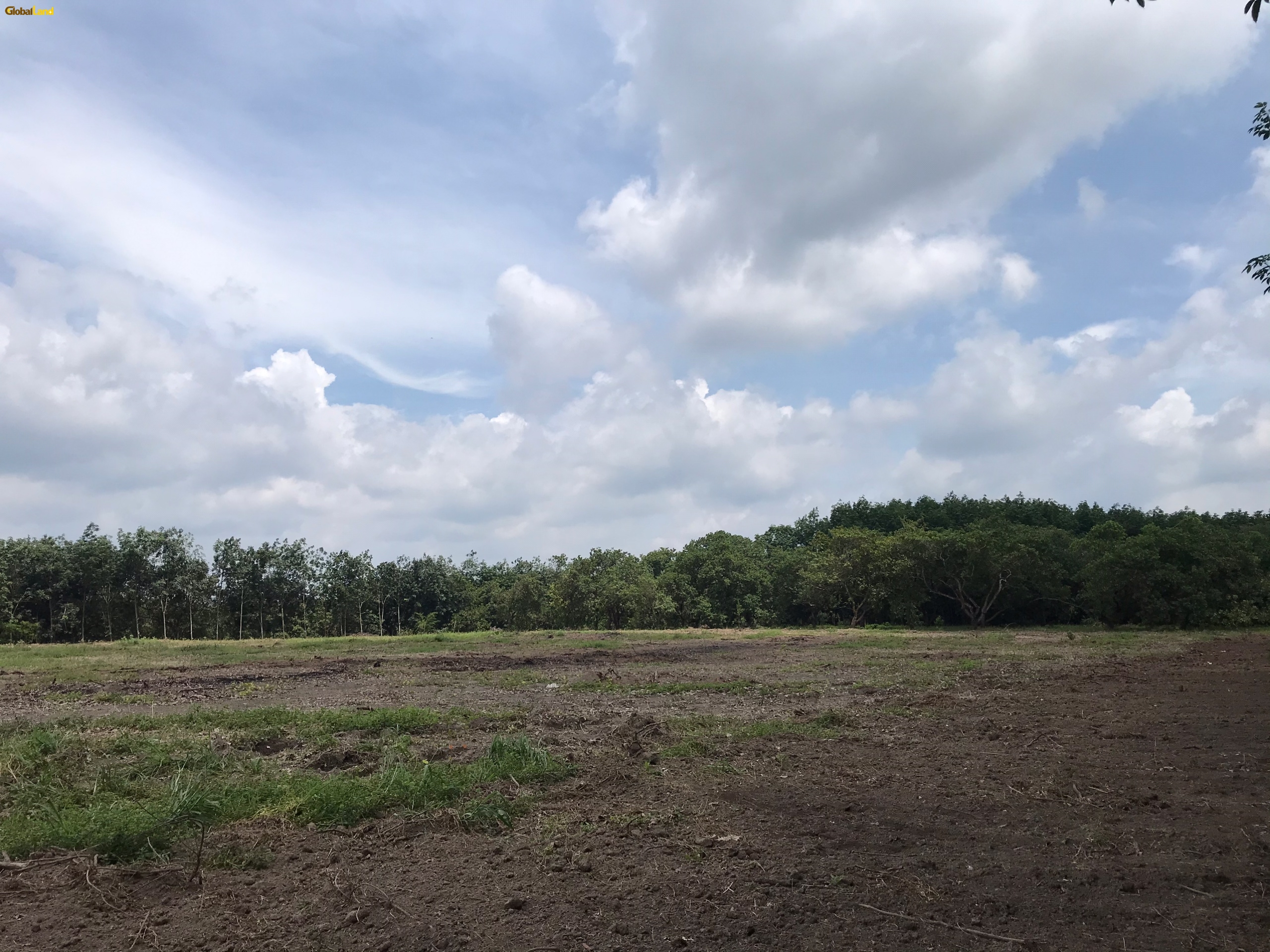 Tập đoàn gland cần bán dự án đất nền tại Bình Phước