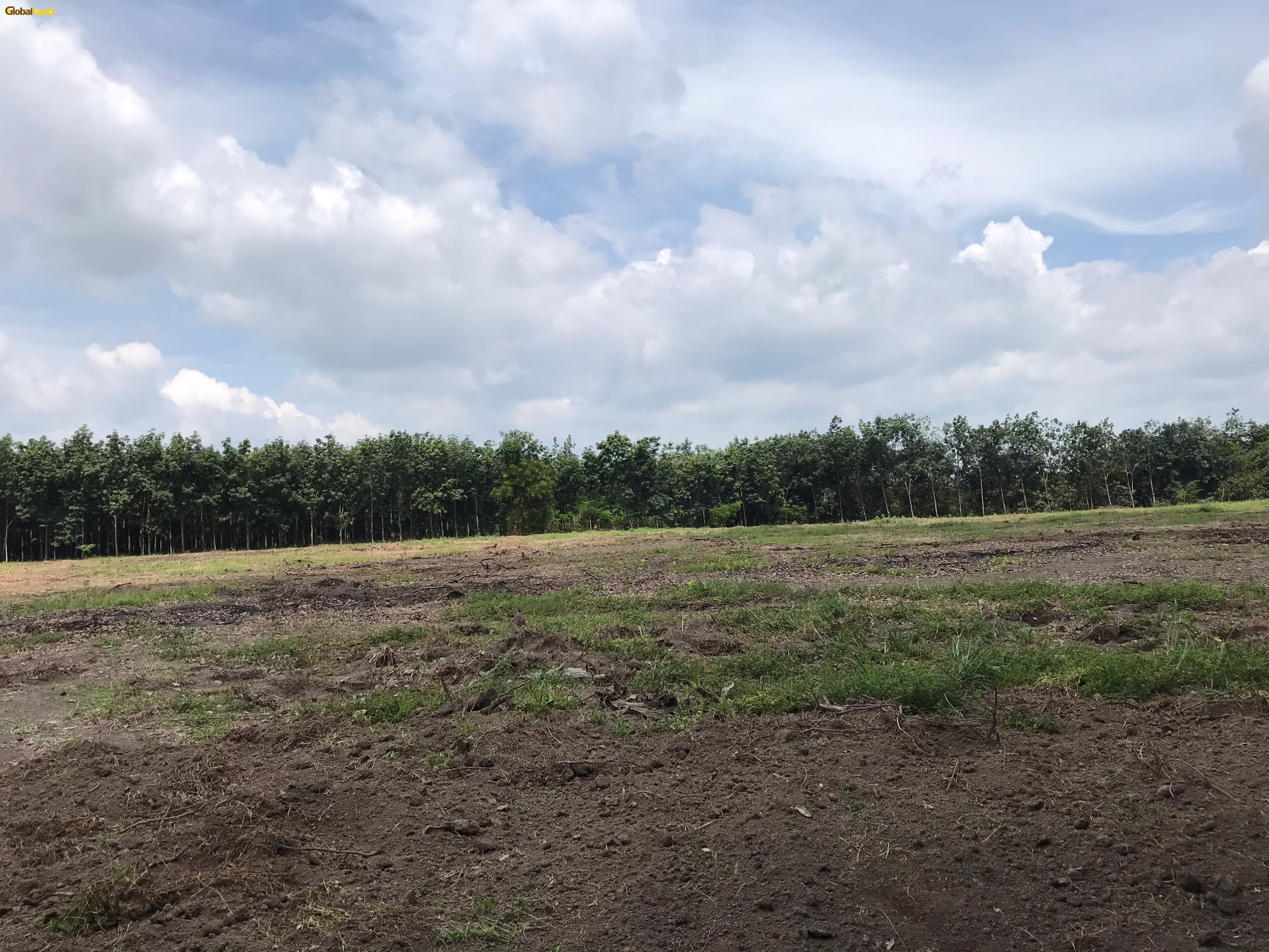 Tập đoàn gland cần bán dự án đất nền tại Bình Phước